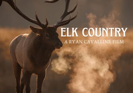 Elk Country (2025) Movie