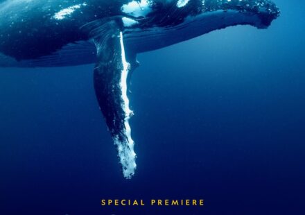 Ocean with David Attenborough (2025) Movie