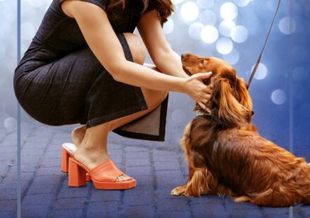 Paws in the City (2025)