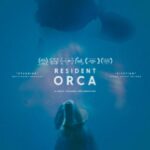 Resident Orca (2024)