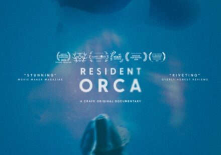 Resident Orca (2024)