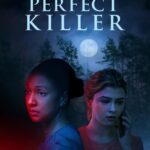 The Perfect Killer (2025)