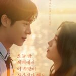 Even if This Love Disappears from the World Tonight (2025) netnaija 