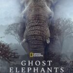Ghost Elephants (2025)