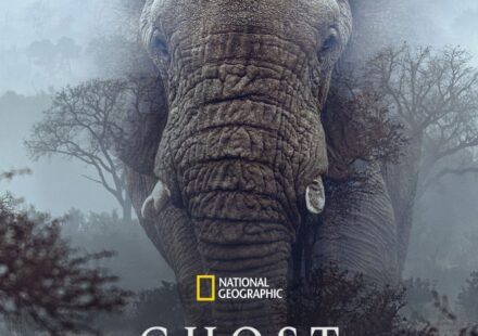 Ghost Elephants (2025)